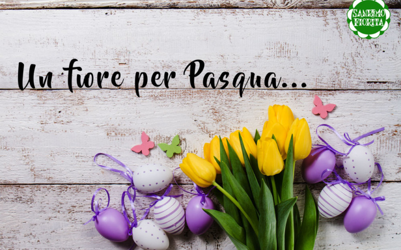 A Pasqua regala un fiore!