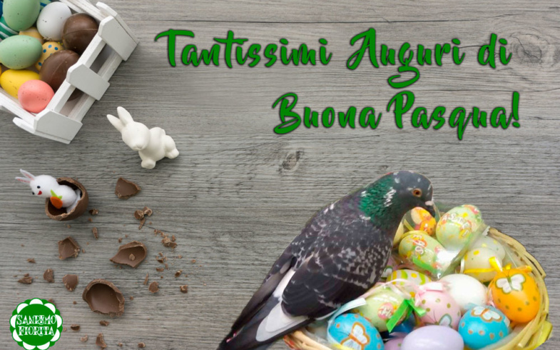 I nostri migliori auguri per una Buona Pasqua