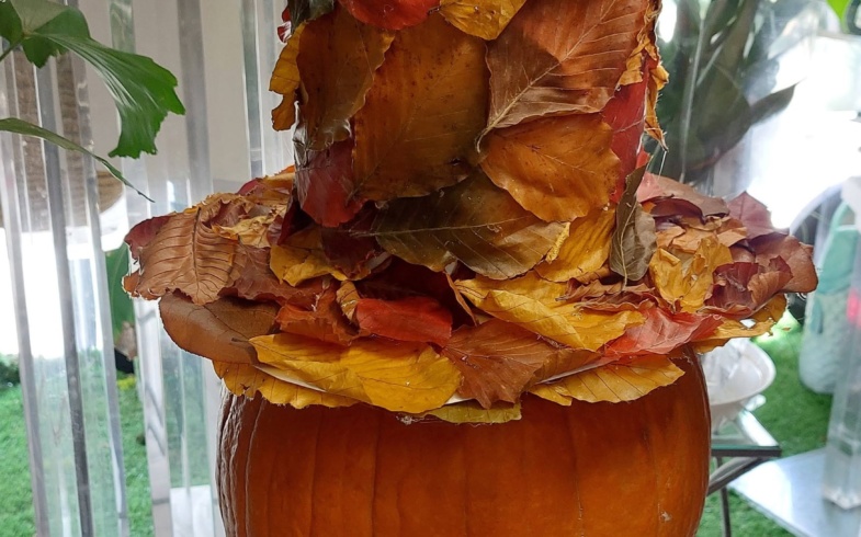 L’autunno è arrivato!